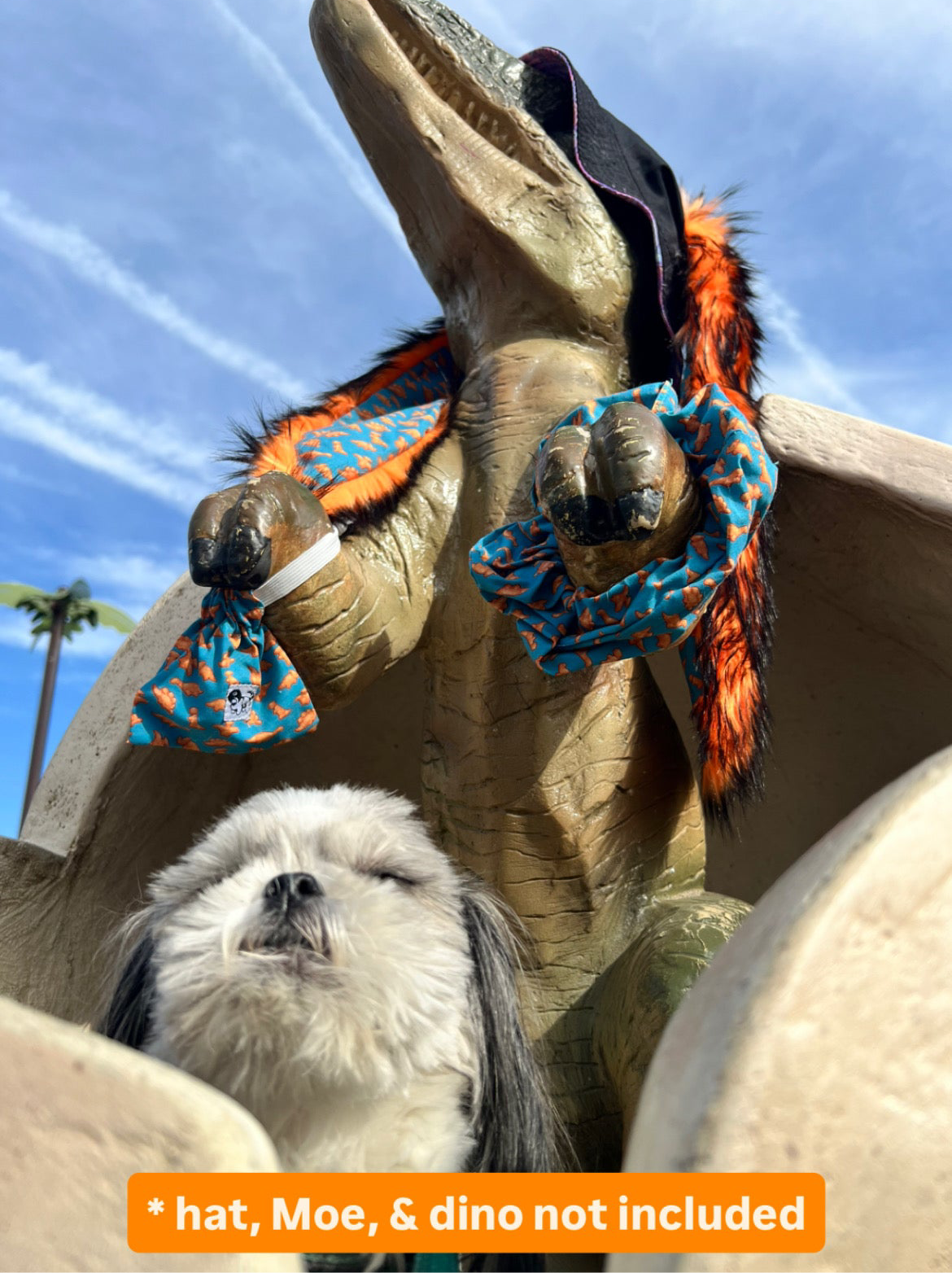 Hurricane Lands II Trinket Bag (Pet)