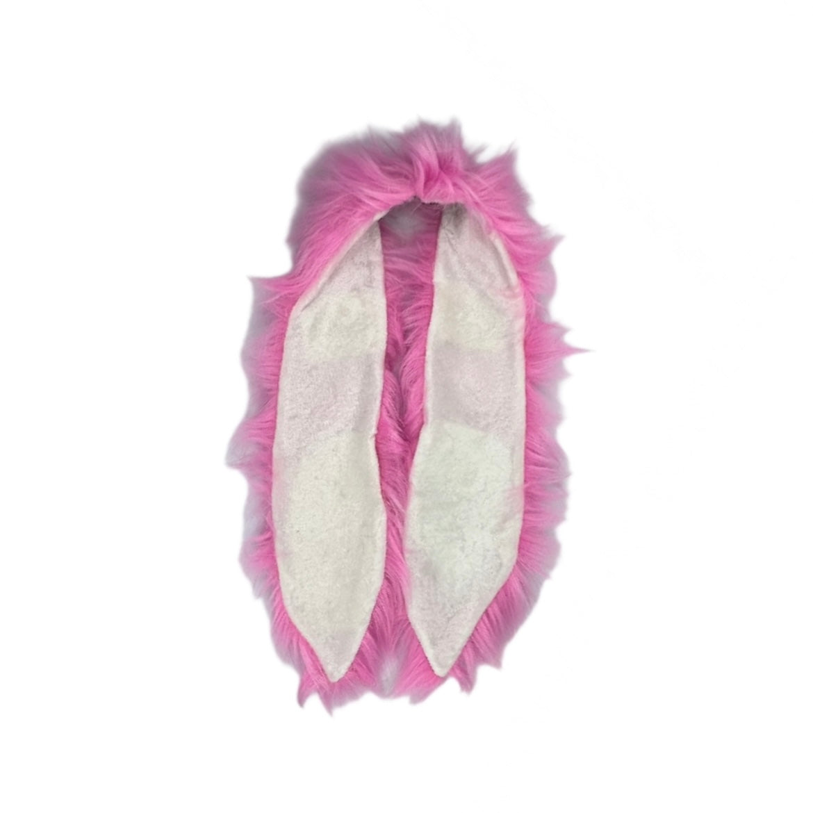 Energized Bunny Ears (People)