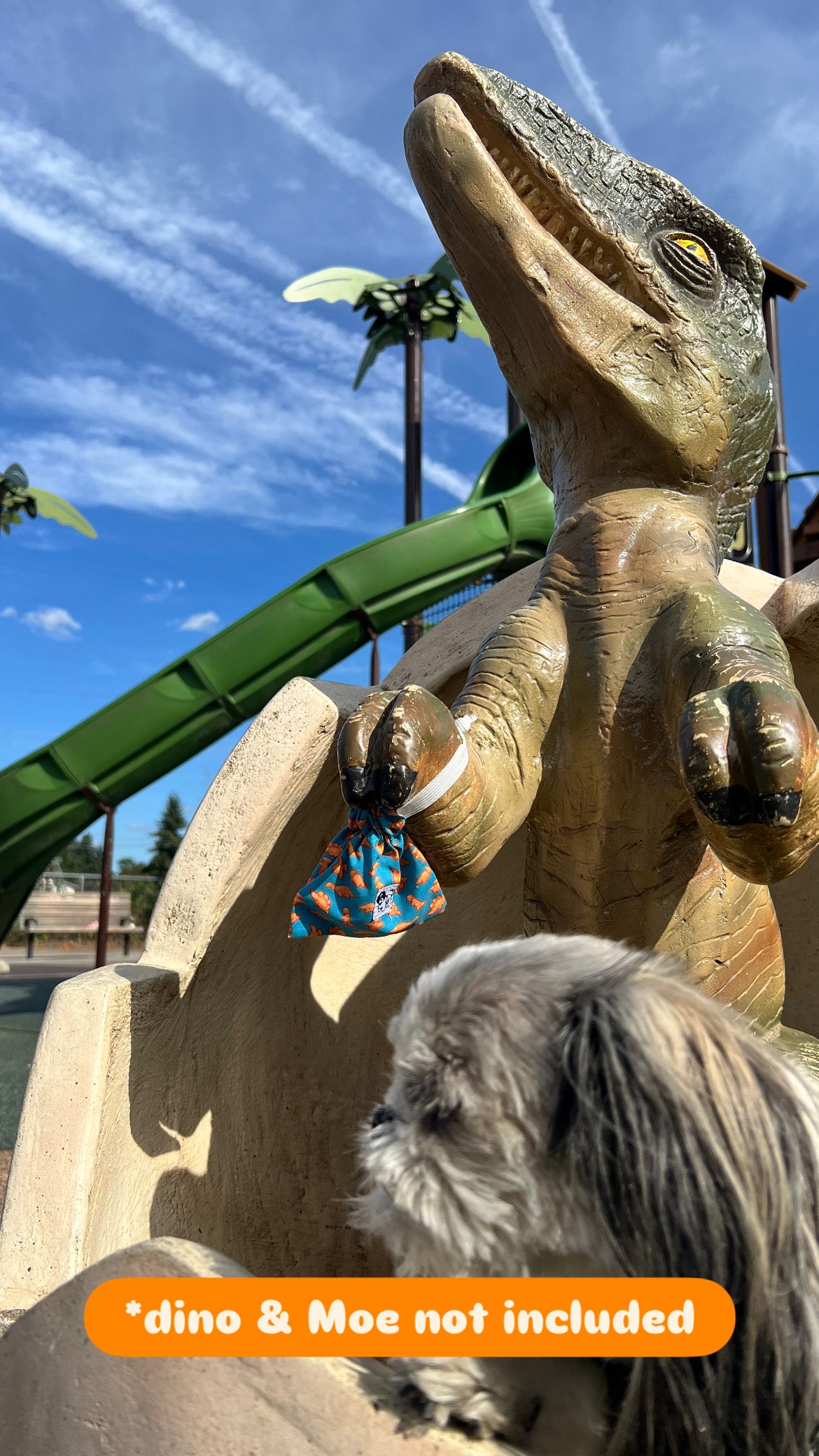 Hurricane Lands II Trinket Bag (Pet)