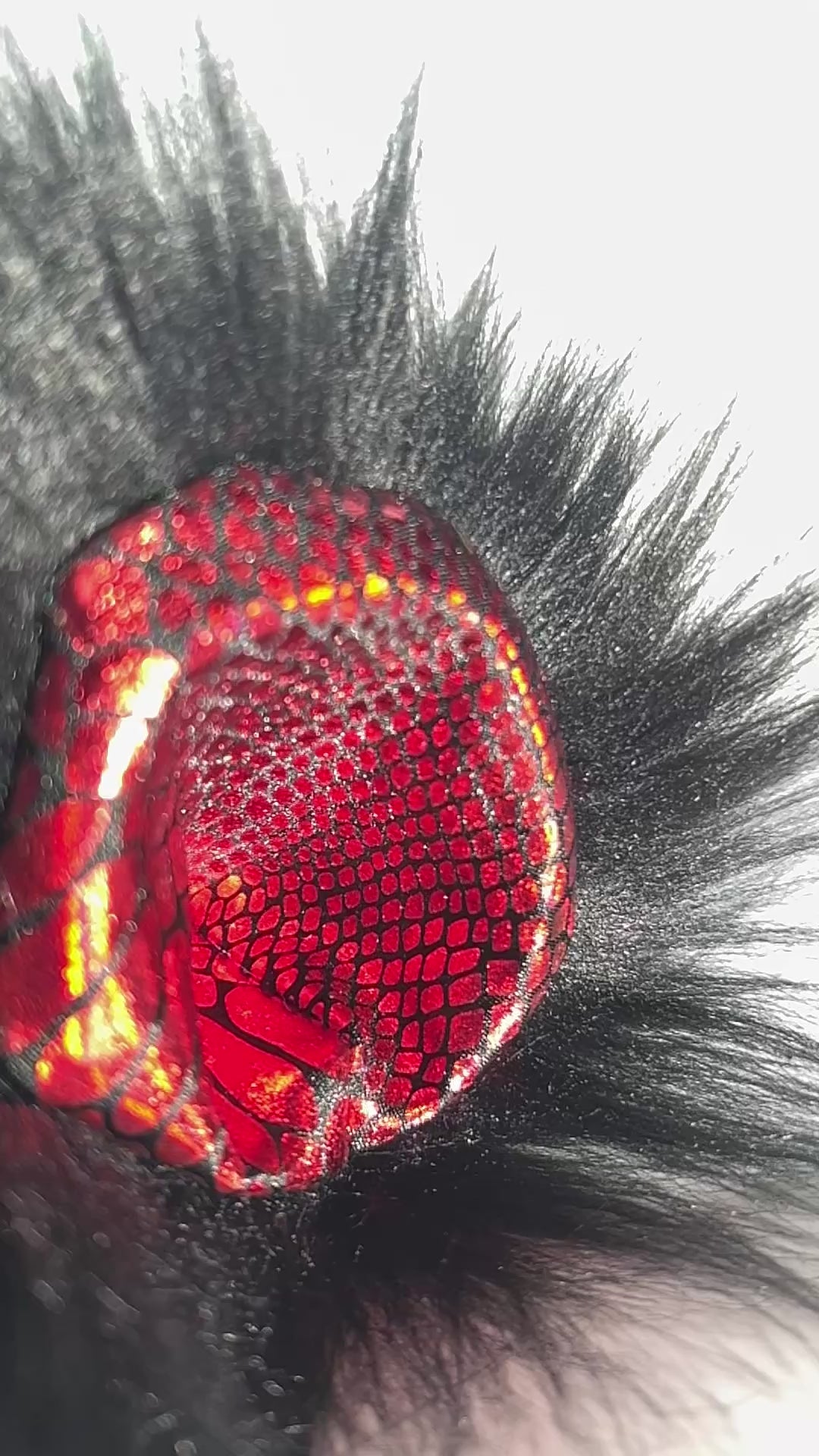 Scarlet Python Ears (People)