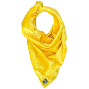 Dandy Lion Bandana (Human)