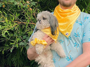 Dandy Lion Bandana (Pet)
