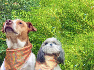 Golden Retriever Hour Bandana (Pet)