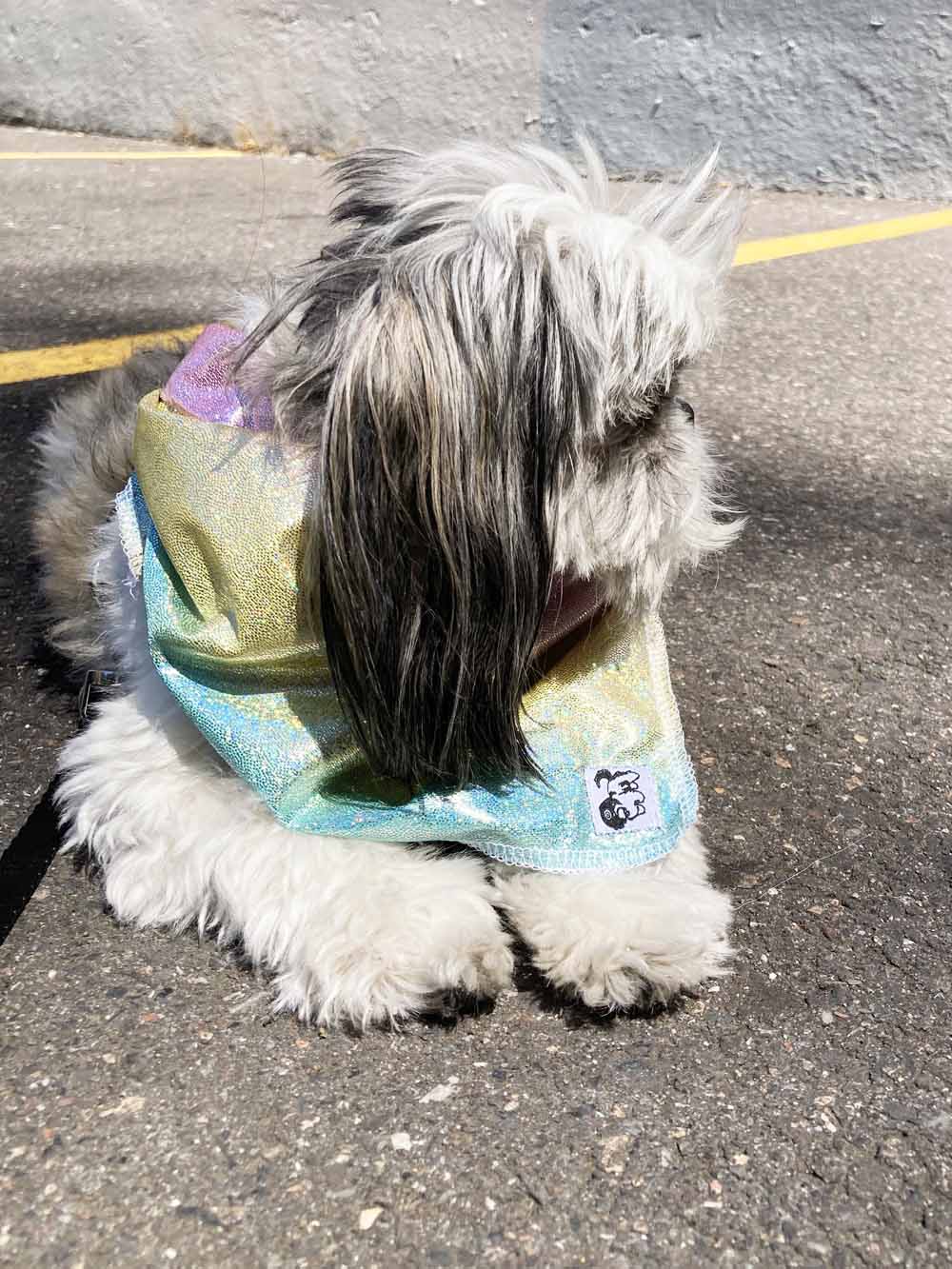Maya Bandana (Pet)
