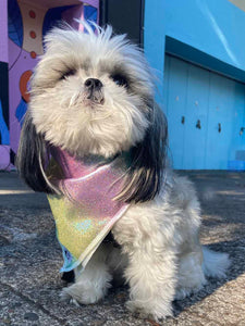 Maya Bandana (Pet)
