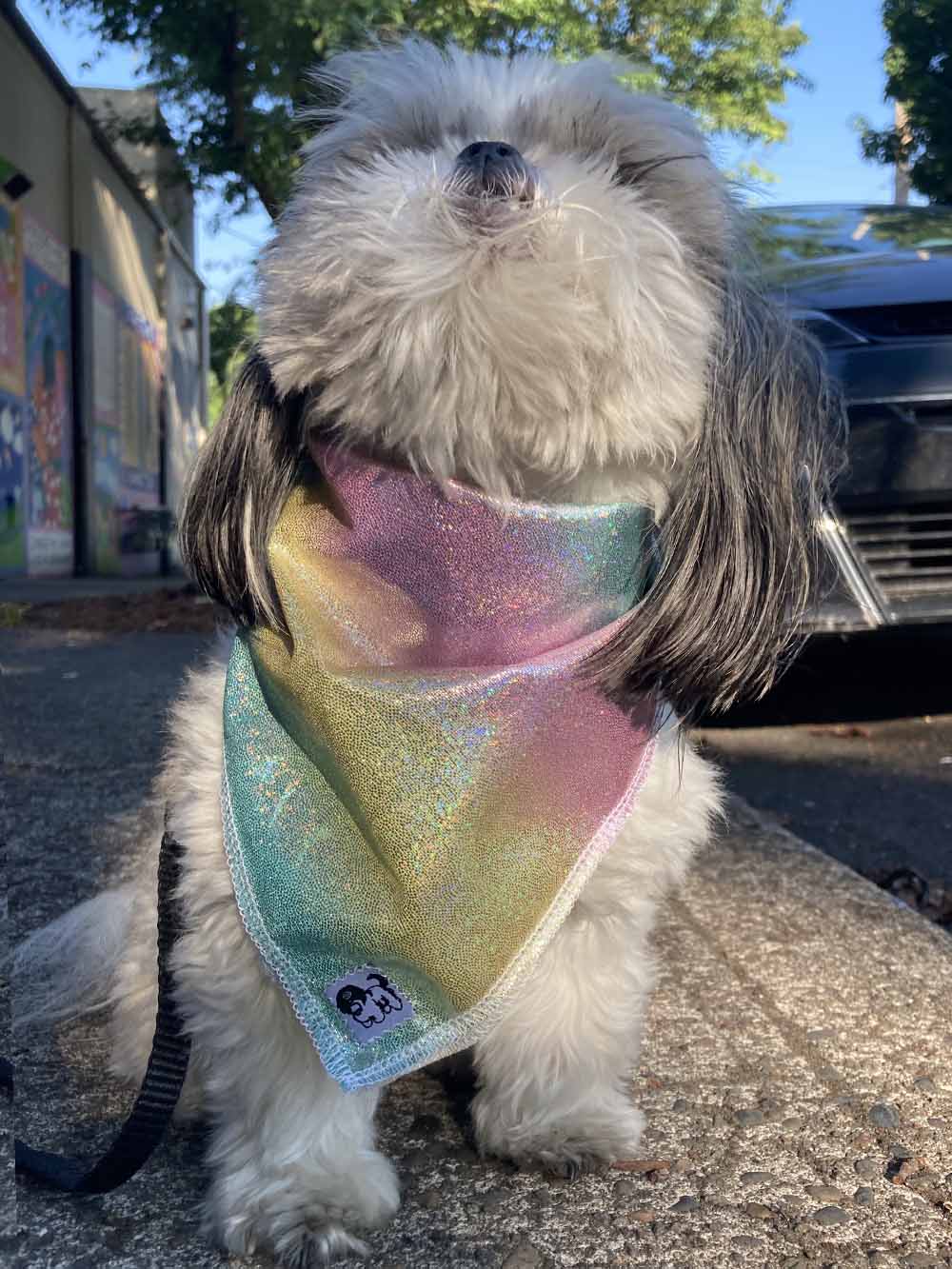 Maya Bandana (Pet)