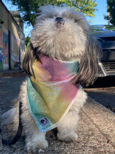 Maya Bandana (Pet)