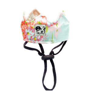 PrimEvolve Crown (Pet)