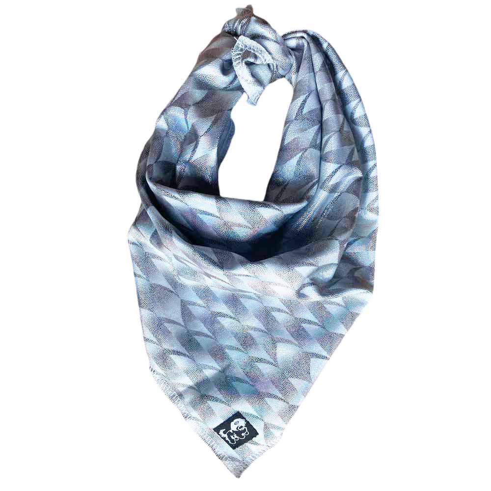 Sea Dragon Bandana (Pet)