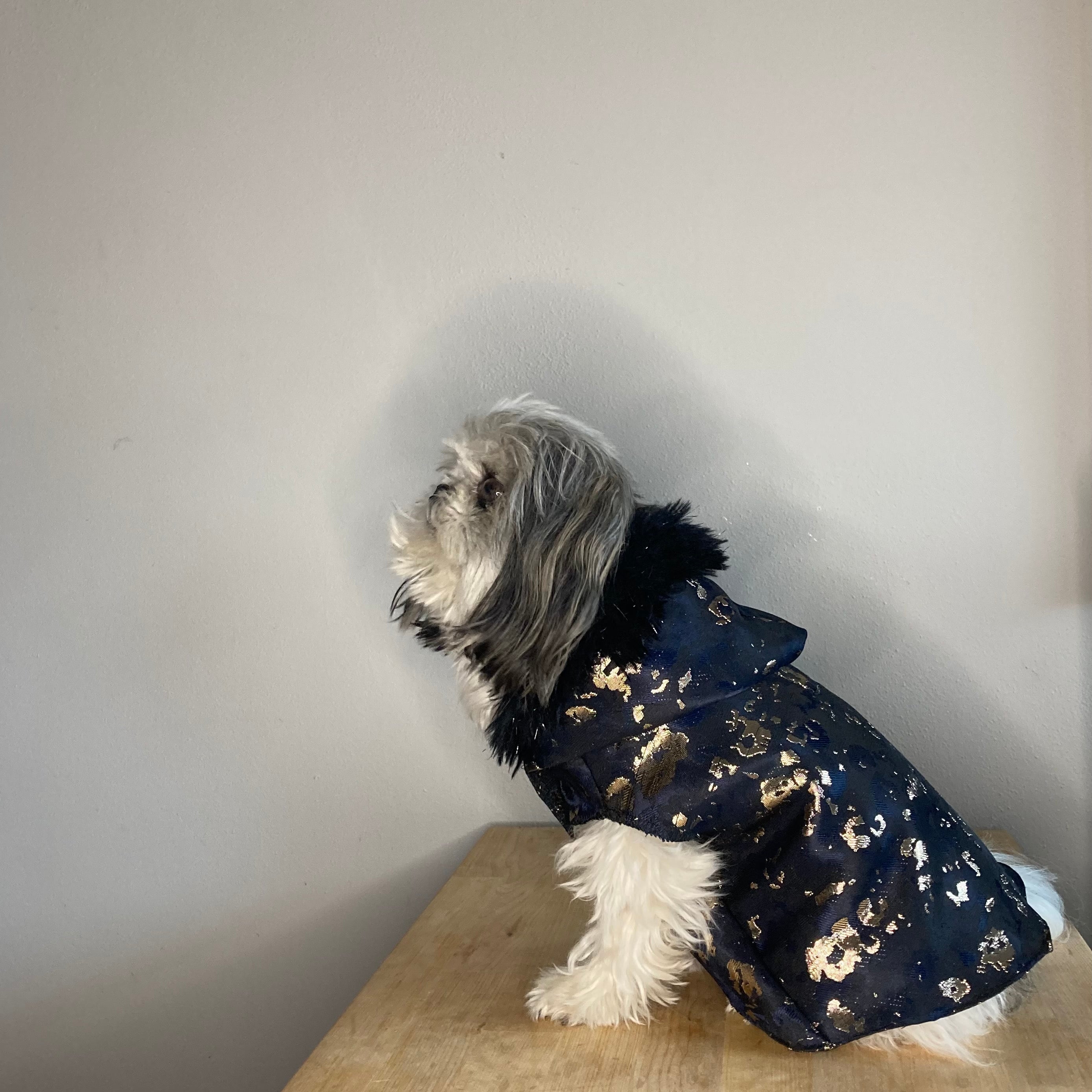 Twinkle Jacket (Pet)